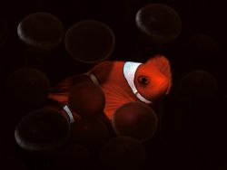 Nemo brother by Mauro Serafini 